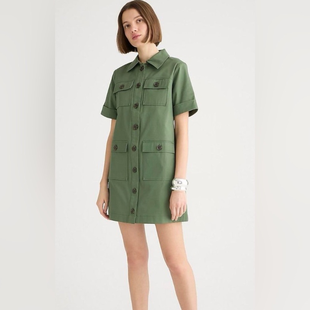 Donated: JCrew gamine dress